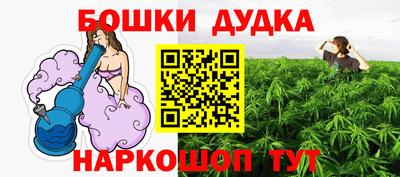 прущие крисы Будённовск