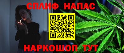 PSILOCYBIN Бугуруслан
