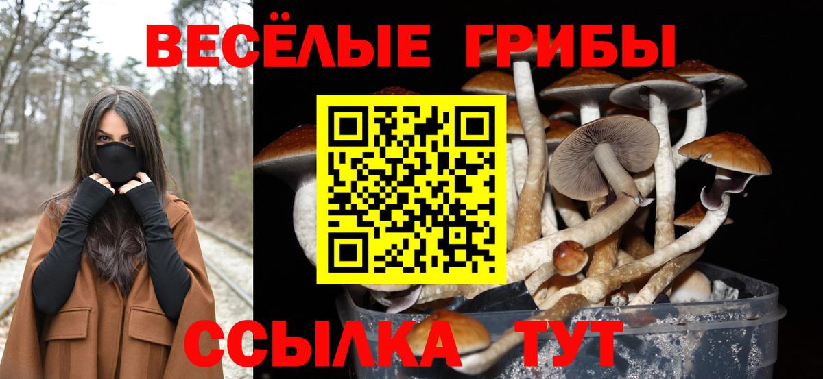 Галлюциногенные грибы прущие грибы  Вход с VPN  Лабытнанги  Псилоцибиновые грибы GOLDEN TEACHER 